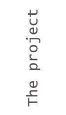 The project