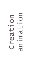 Creation animation