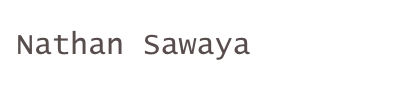 Nathan Sawaya