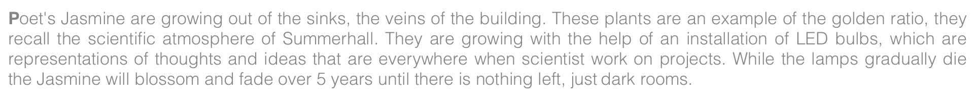 Poet's Jasmine are growing out of the sinks, the veins of the building. These plants are an example of the golden ratio, they recall the scientific atmosphere of Summerhall. They are growing with the help of an installation of LED bulbs, which are representations of thoughts and ideas that are everywhere when scientist work on projects. While the lamps gradually die the Jasmine will blossom and fade over 5 years until there is nothing left, just dark rooms.